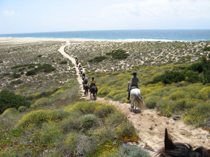 Dolphin Coast Ride