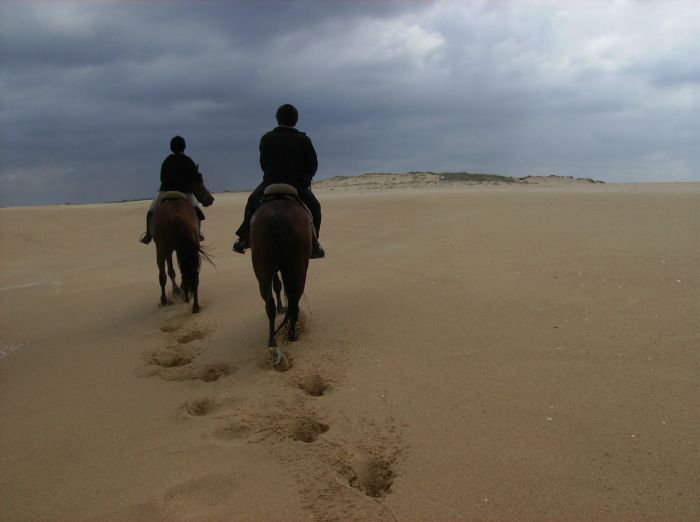 Dolphin Coast Ride