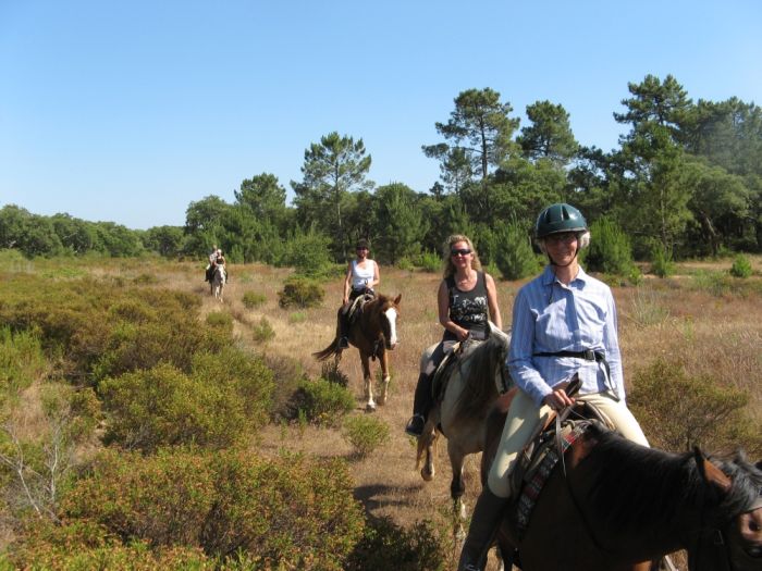 Dolphin Coast Ride