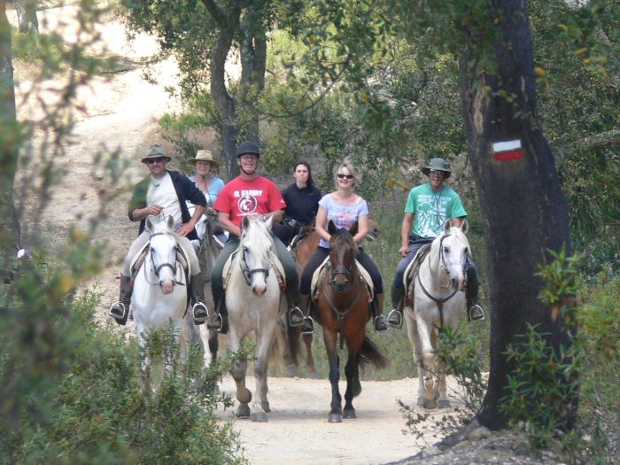 Dolphin Coast Ride