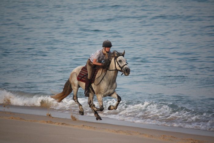 Dolphin Coast Ride