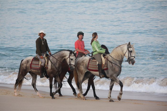 Dolphin Coast Ride
