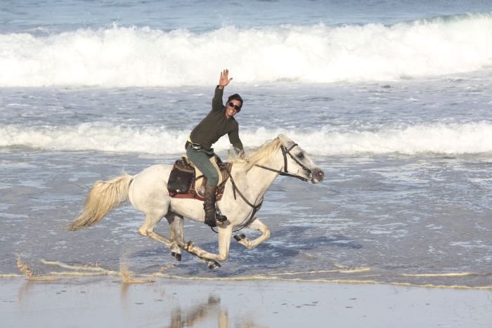 Dolphin Coast Ride