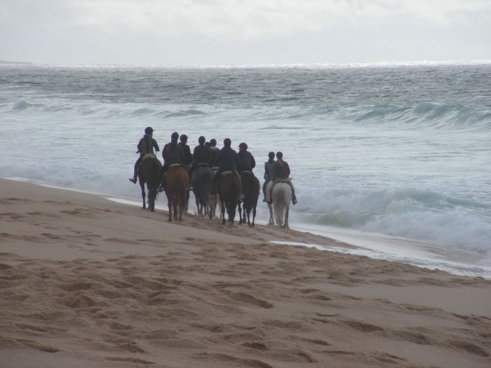 Dolphin Coast Ride