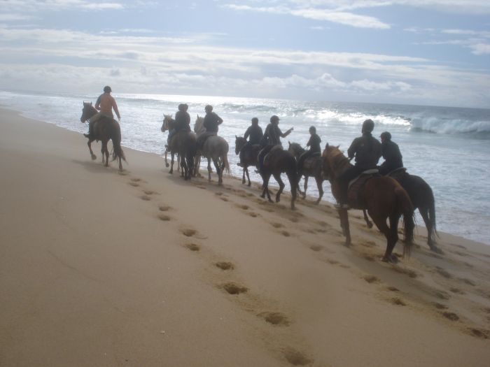 Dolphin Coast Ride