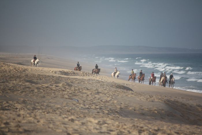 Dolphin Coast Ride