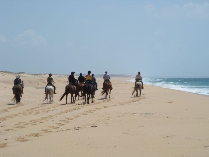 Dolphin Coast Ride
