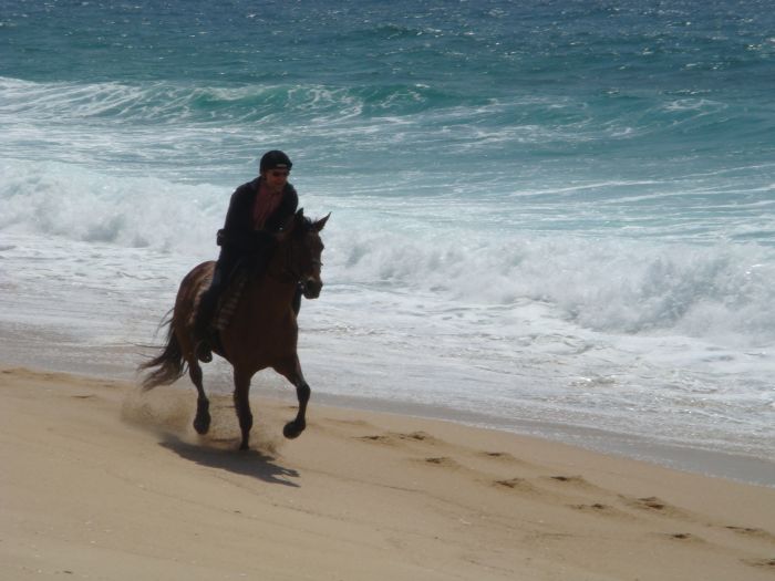 Dolphin Coast Ride