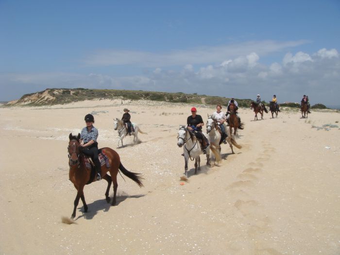 Dolphin Coast Ride