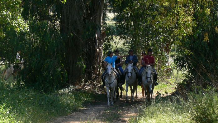 Dolphin Coast Ride
