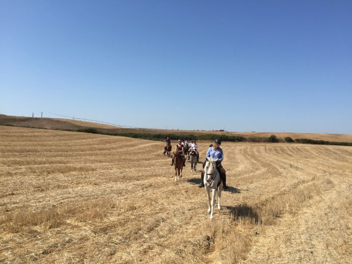 In the Country of the Lusitanos