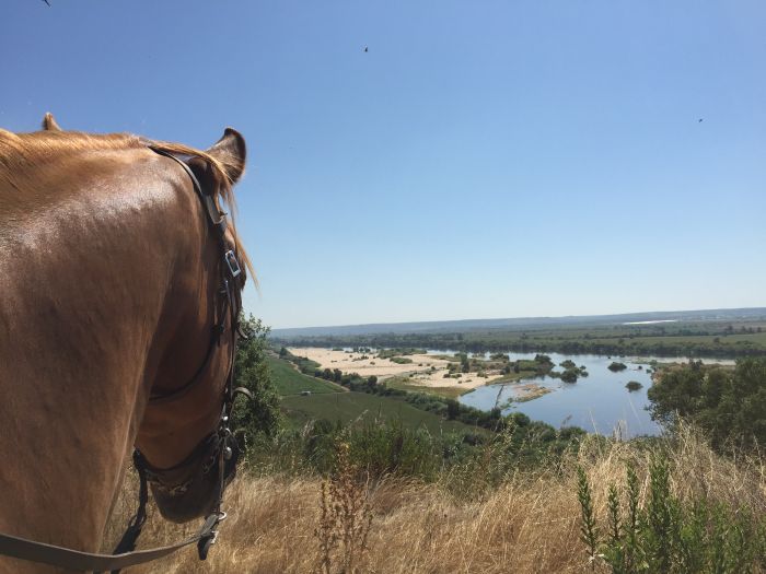 In the Country of the Lusitanos