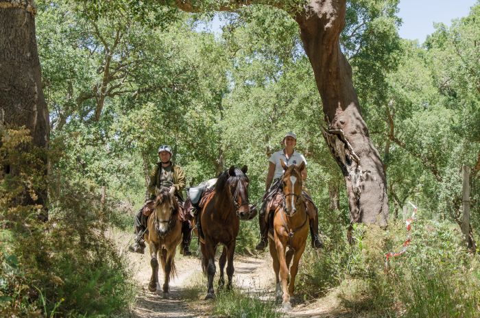 In the Country of the Lusitanos
