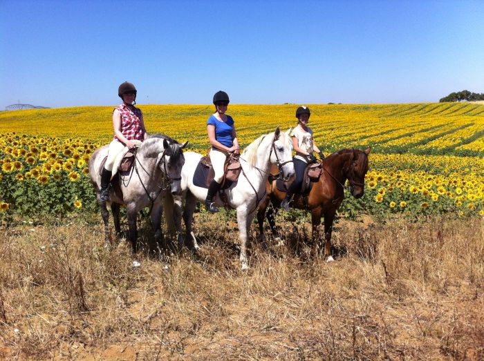 In the Country of the Lusitanos