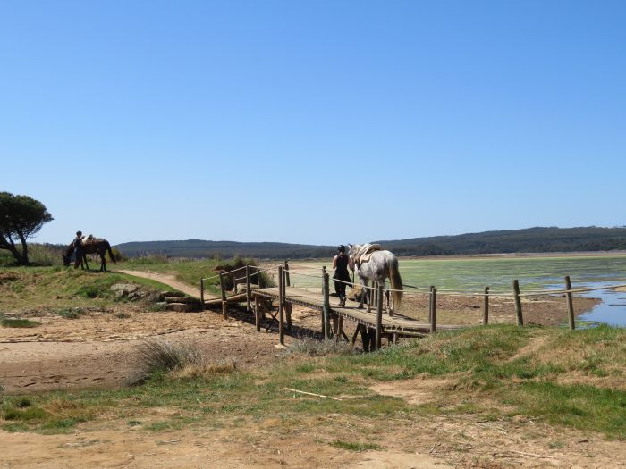 In the Country of the Lusitanos
