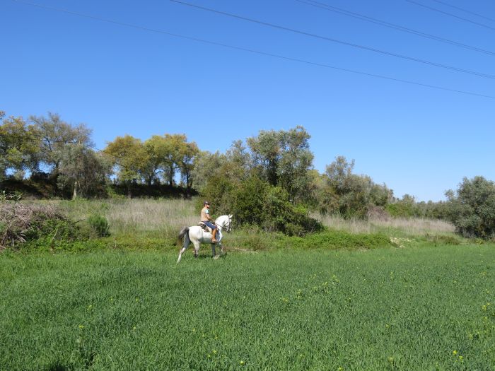 In the Country of the Lusitanos