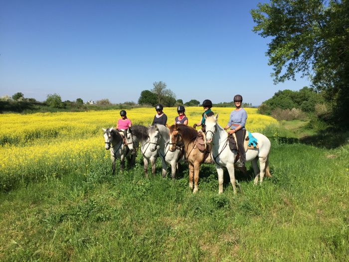 In the Country of the Lusitanos