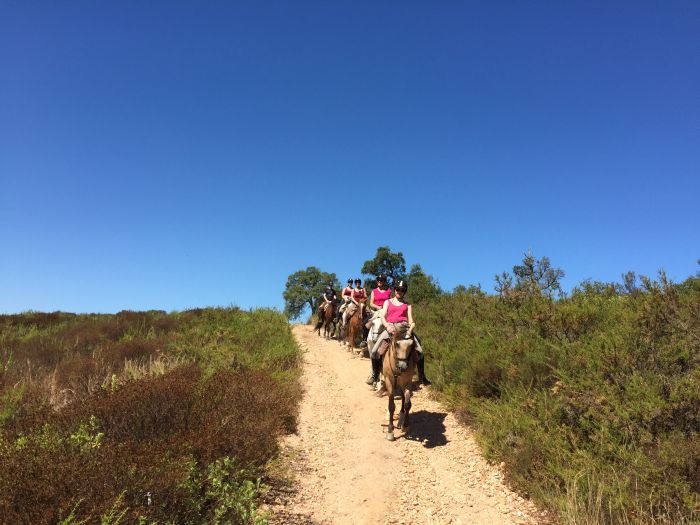 In the Country of the Lusitanos