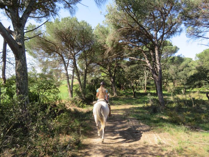 In the Country of the Lusitanos
