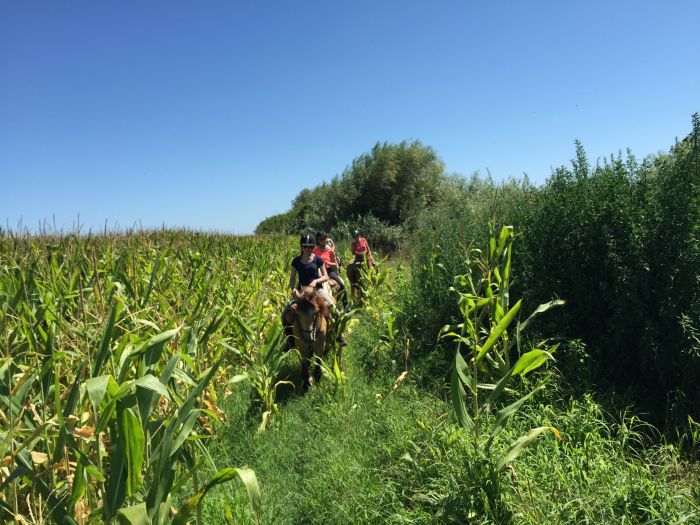 In the Country of the Lusitanos