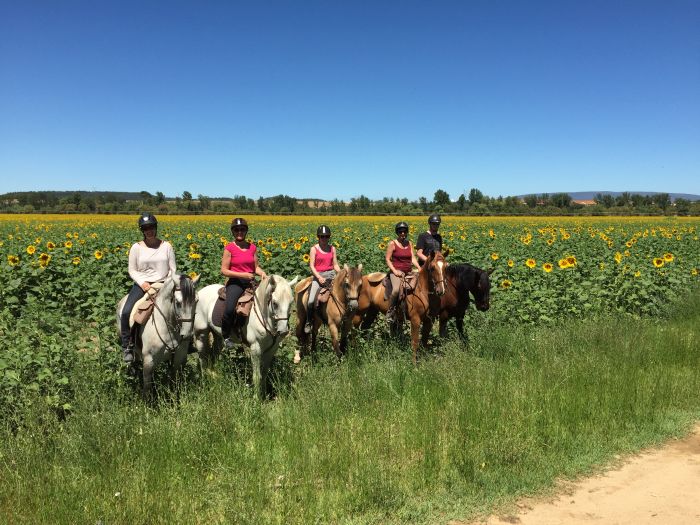 In the Country of the Lusitanos