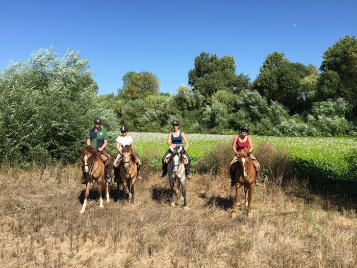In the Country of the Lusitanos