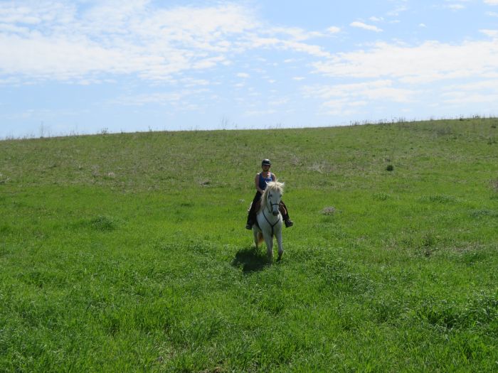 In the Country of the Lusitanos