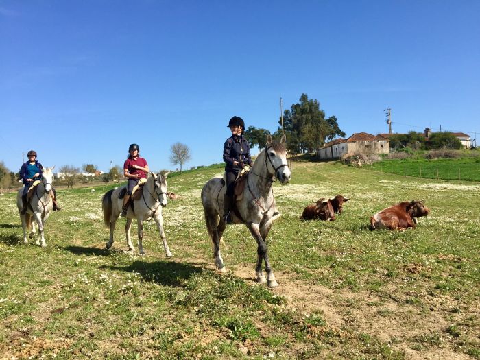 In the Country of the Lusitanos
