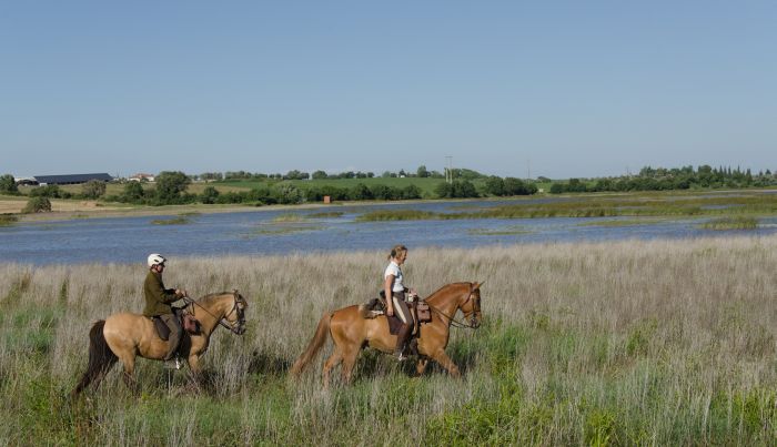 In the Country of the Lusitanos