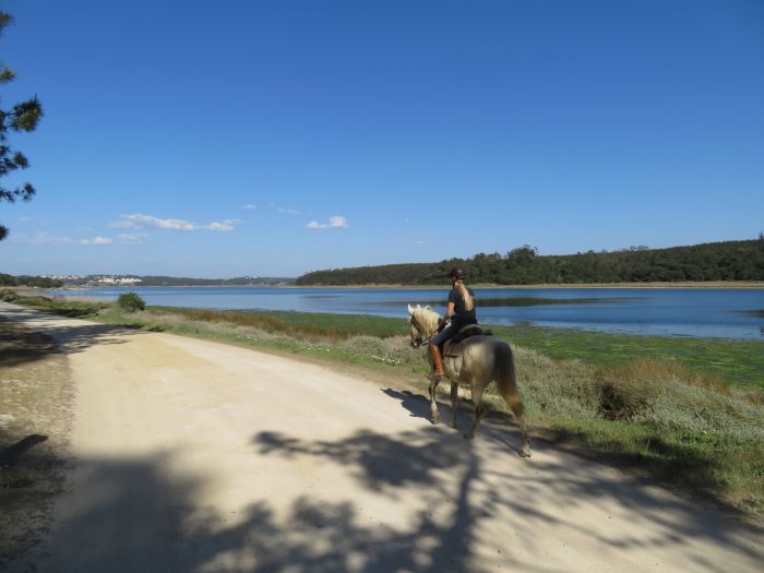 In the Country of the Lusitanos