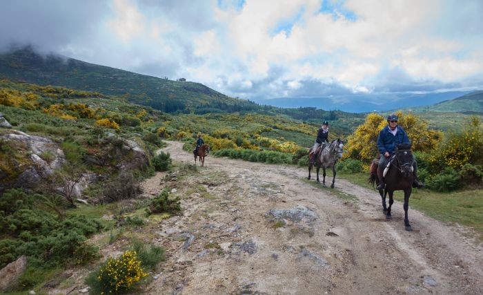 Wild horses adventure trail