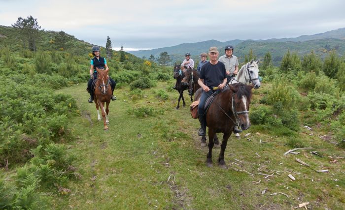Wild horses adventure trail