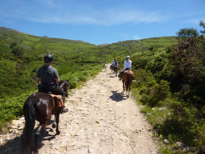 Wild horses adventure trail