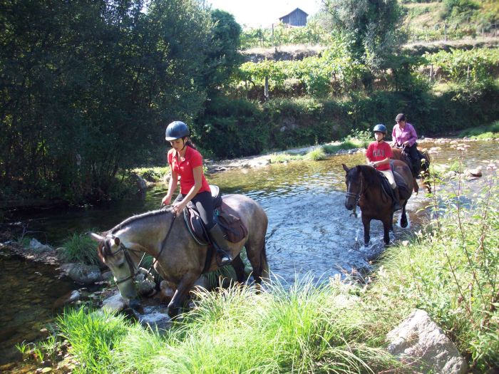 Wild horses adventure trail