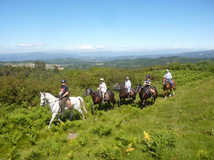 Wild horses adventure trail