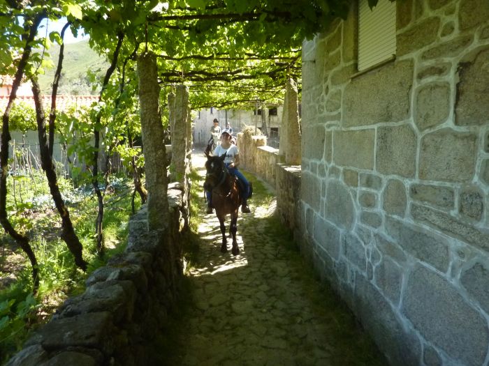 Wild horses adventure trail