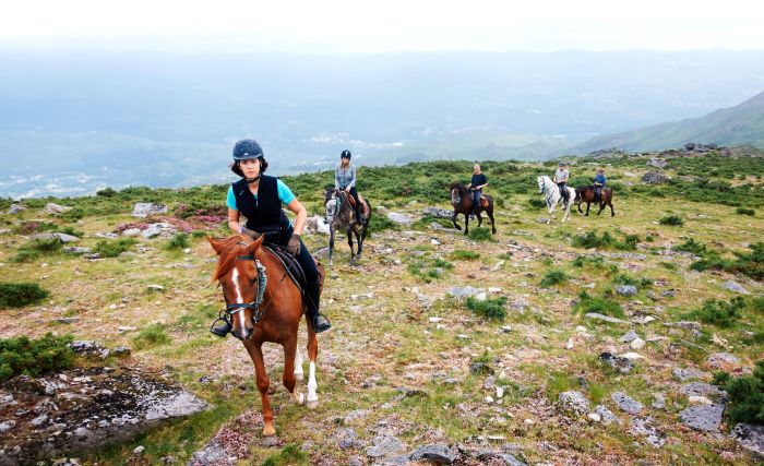 Wild horses adventure trail