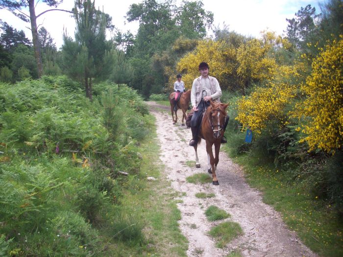 Wild horses adventure trail