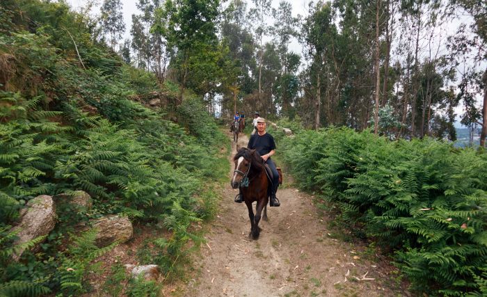 Wild horses adventure trail