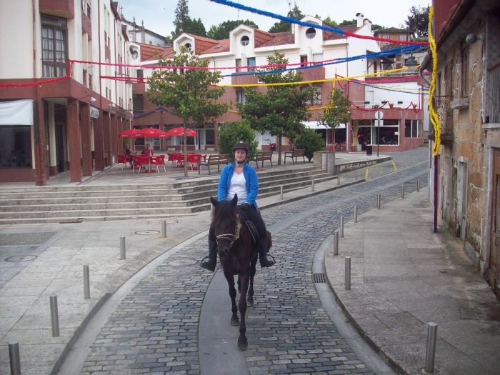 Wild horses adventure trail