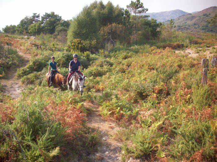Wild horses adventure trail