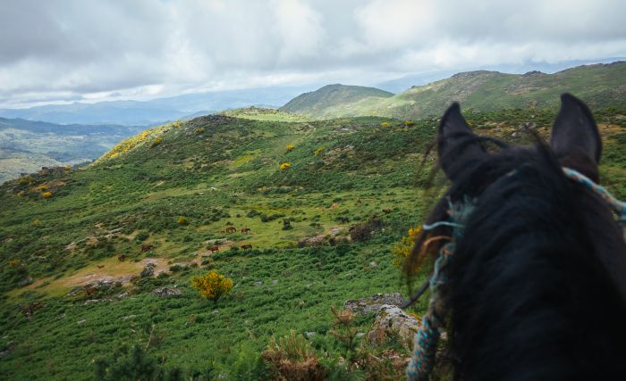 Wild horses adventure trail