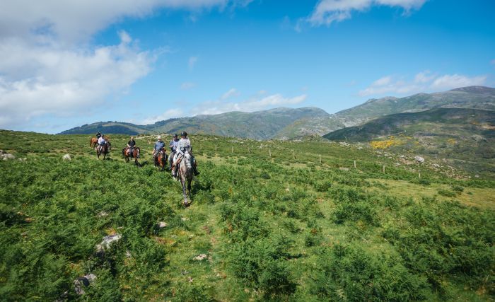 Wild horses adventure trail