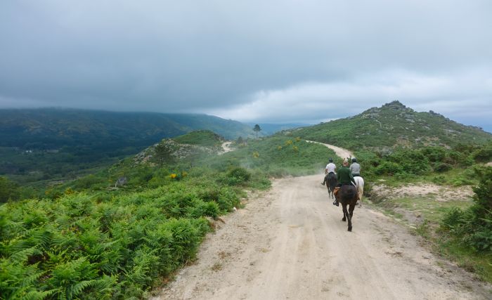 Wild horses adventure trail