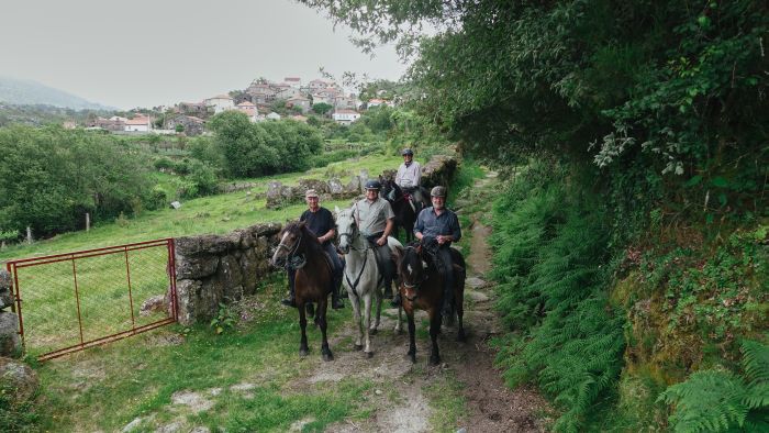 Wild horses adventure trail