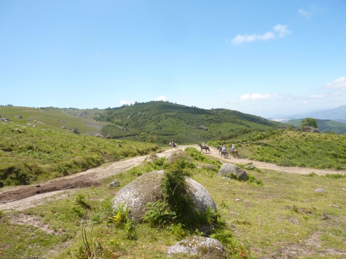 Wild horses adventure trail