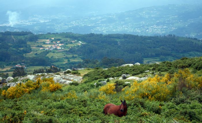 Wild horses adventure trail