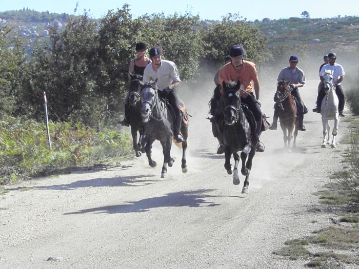 Wild horses adventure trail