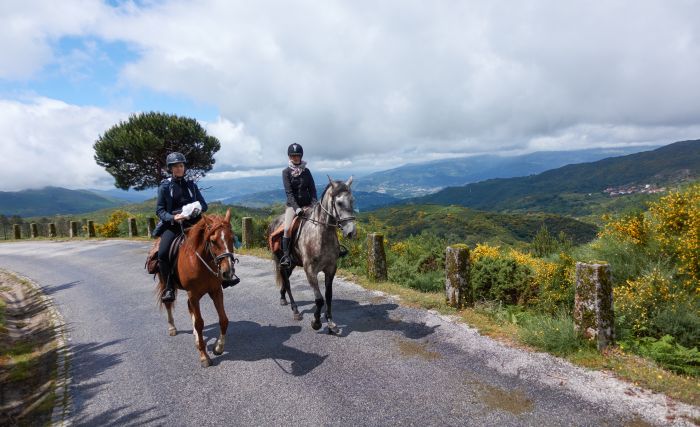 Wild horses adventure trail