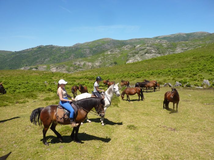 Wild horses adventure trail